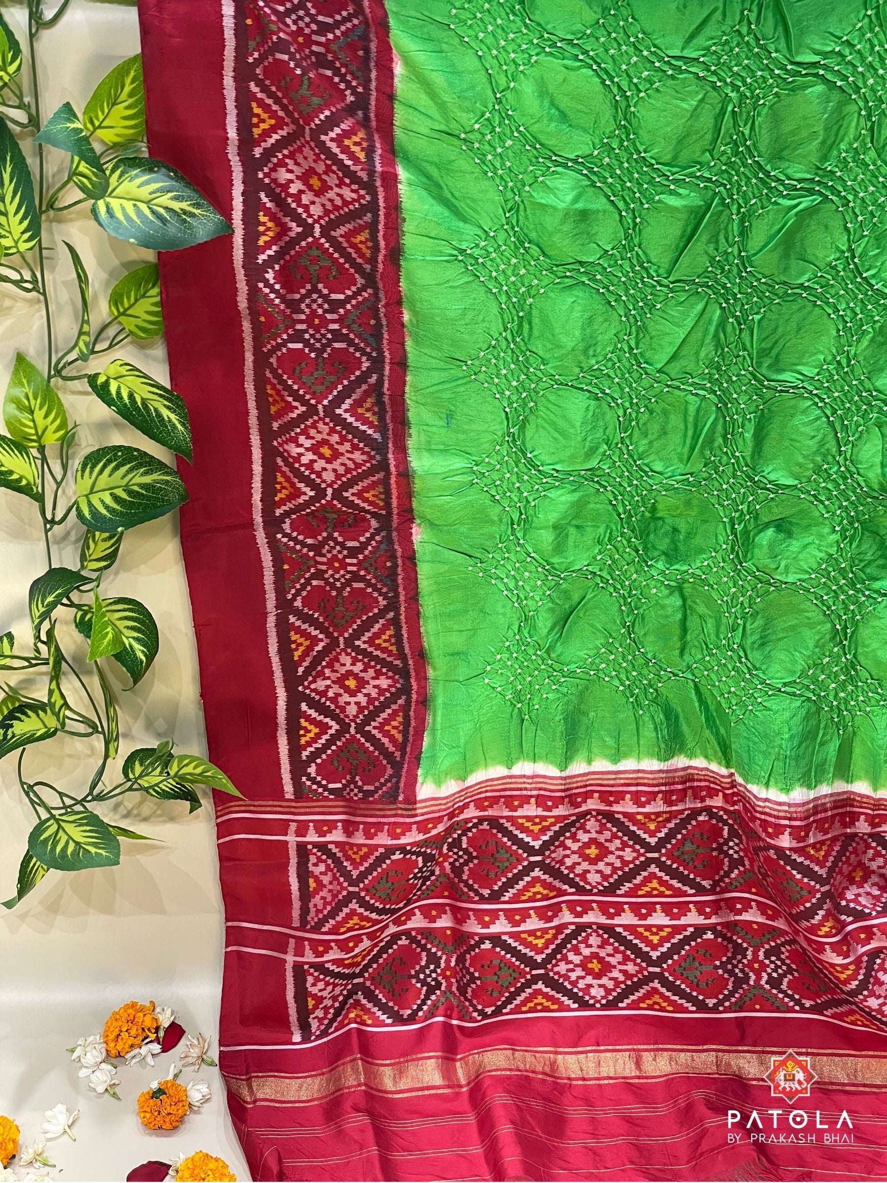  Parrot Green Border Patola Design With Bodywork Bandhej Dupatta