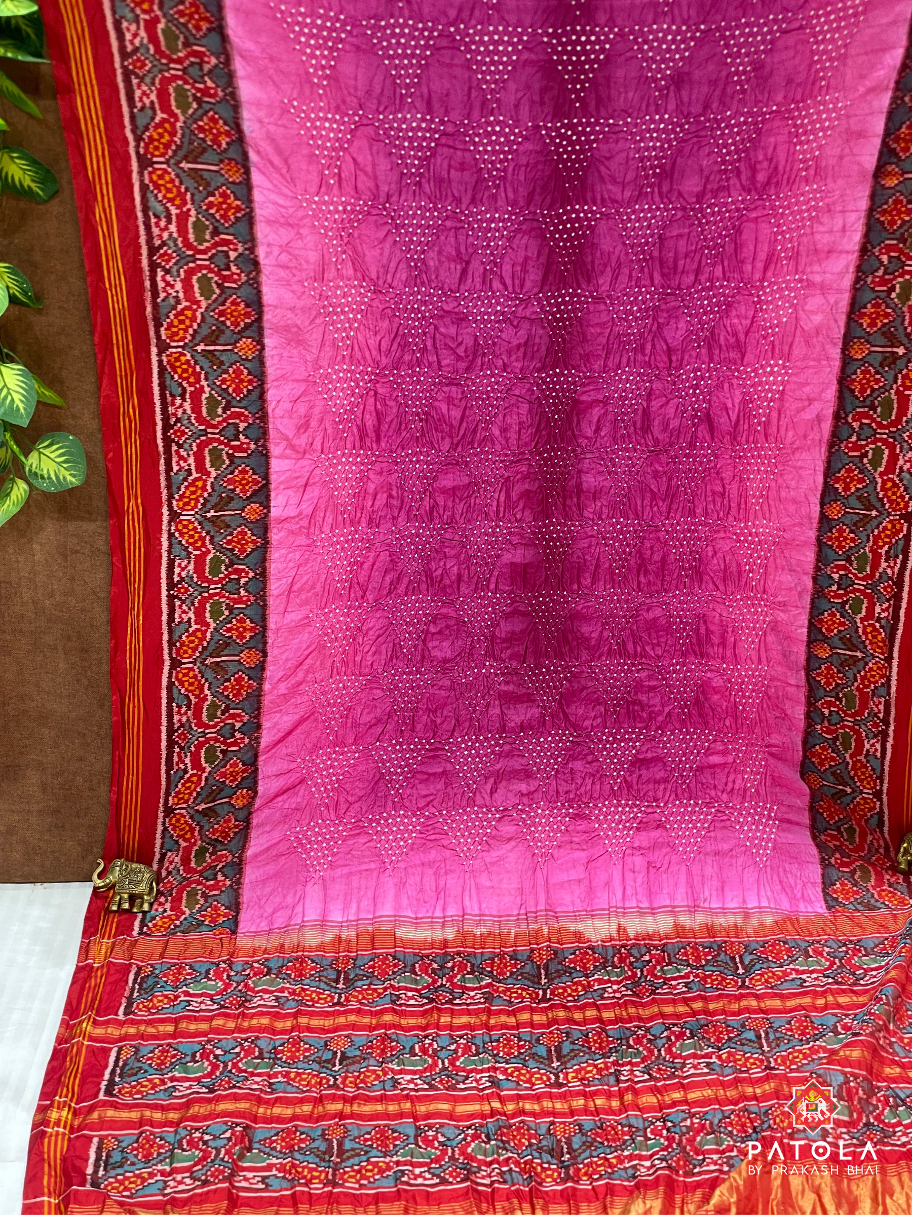 Peacock Border With Small Bandhej Patola Saree